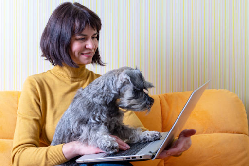 Best Pet Products People Buy Online