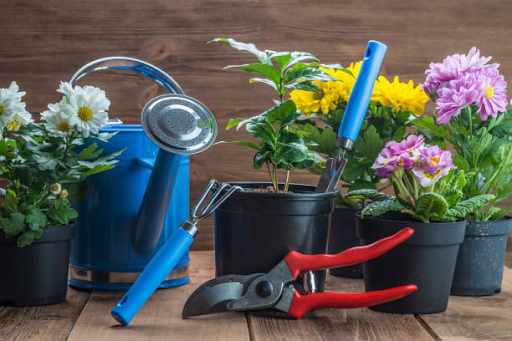 Best Gardening Tools for Small Spaces