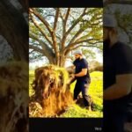 Create Stunning Videos with AI in Minutes এ আই দিয়ে কিভাবে ভিডিও | | AI Video Tutorial Bangla