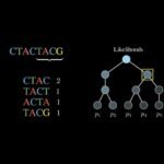 Improving metagenomic taxonomic annotations with deep learning