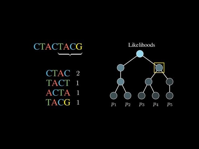 Improving metagenomic taxonomic annotations with deep learning