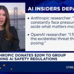 AI’s high-stakes safety divide