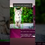 Your quick guide on Raspberry Pi AI Camera Object Detection #raspberrypi  #objectdetection
